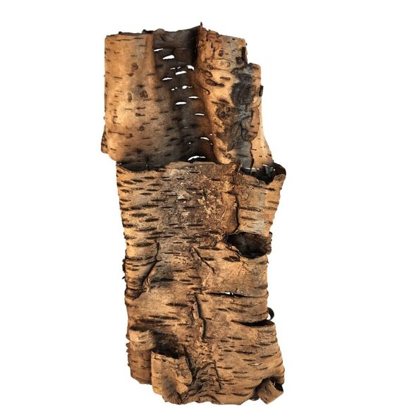 Natural Birch Bark Sheets For Crafting & Decor - Picture 2 of 8